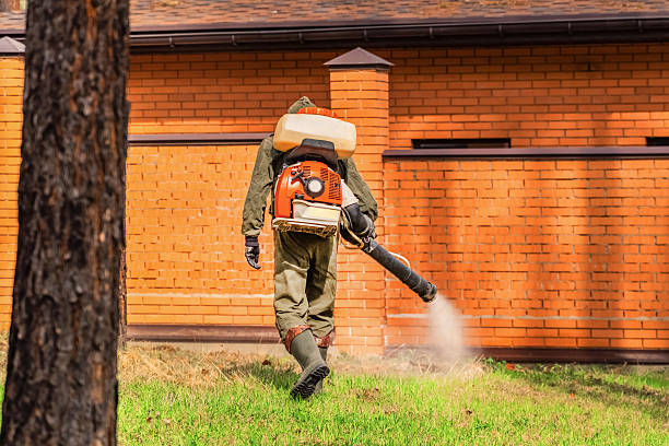 Top rated local Ant Control specialists in Griffith, IN